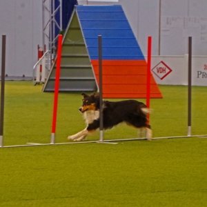 Slalom