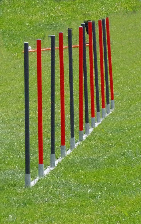 Slalom