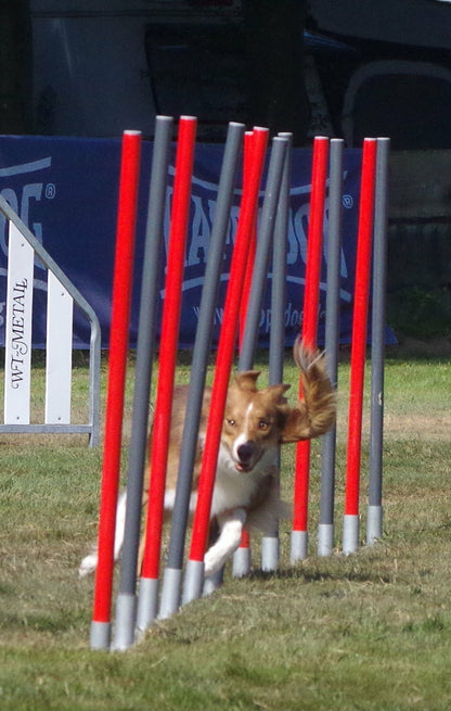 Slalom